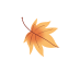 楓1.gif